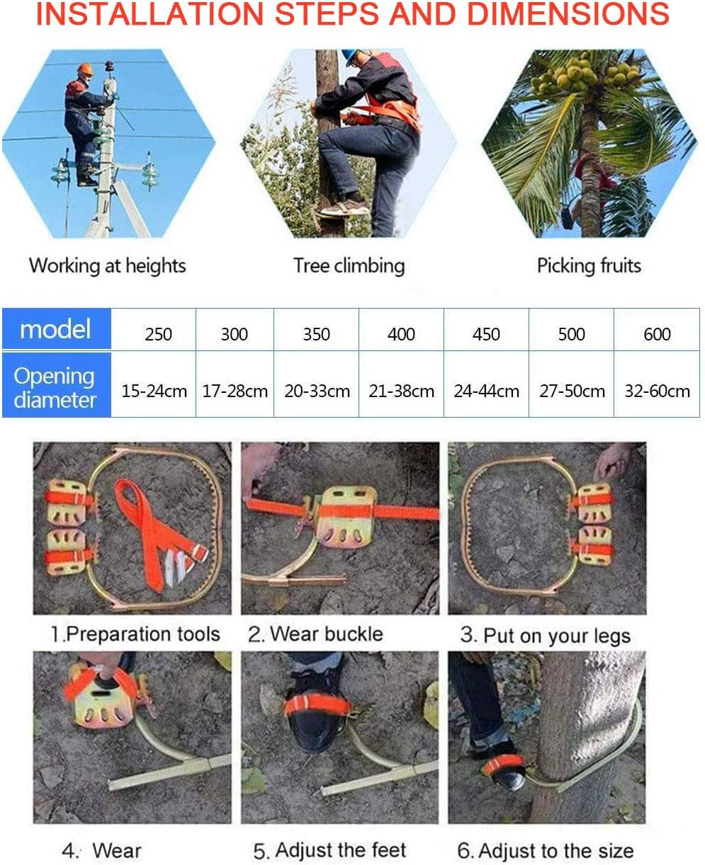 DOLL$BOXX 直筆サイン入り色紙 Fuki Gacharic Spin