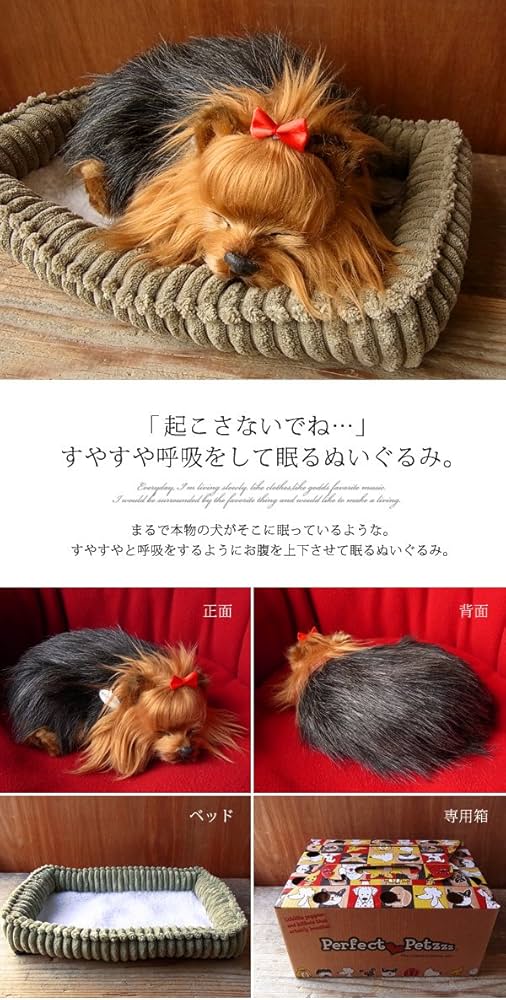 Amazon.co.jp: ニニアンドキノ パーフェクトペット (小サイズ