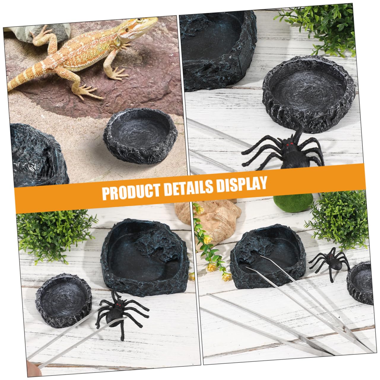 1set Ciotole per Rettili con Pinzette Ciotola per Cibo Drago Barbuto e Abbeveratoio per Tartarughe Accessori per Terrario e Bowls