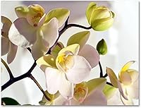 Vista 5 de Small World Greetings Tarjetas de notas de flores de orquídea, 24 unidades, interior en blanco con sobres blancos, tamaño A2 de 5.5 x 4.25 pulgadas