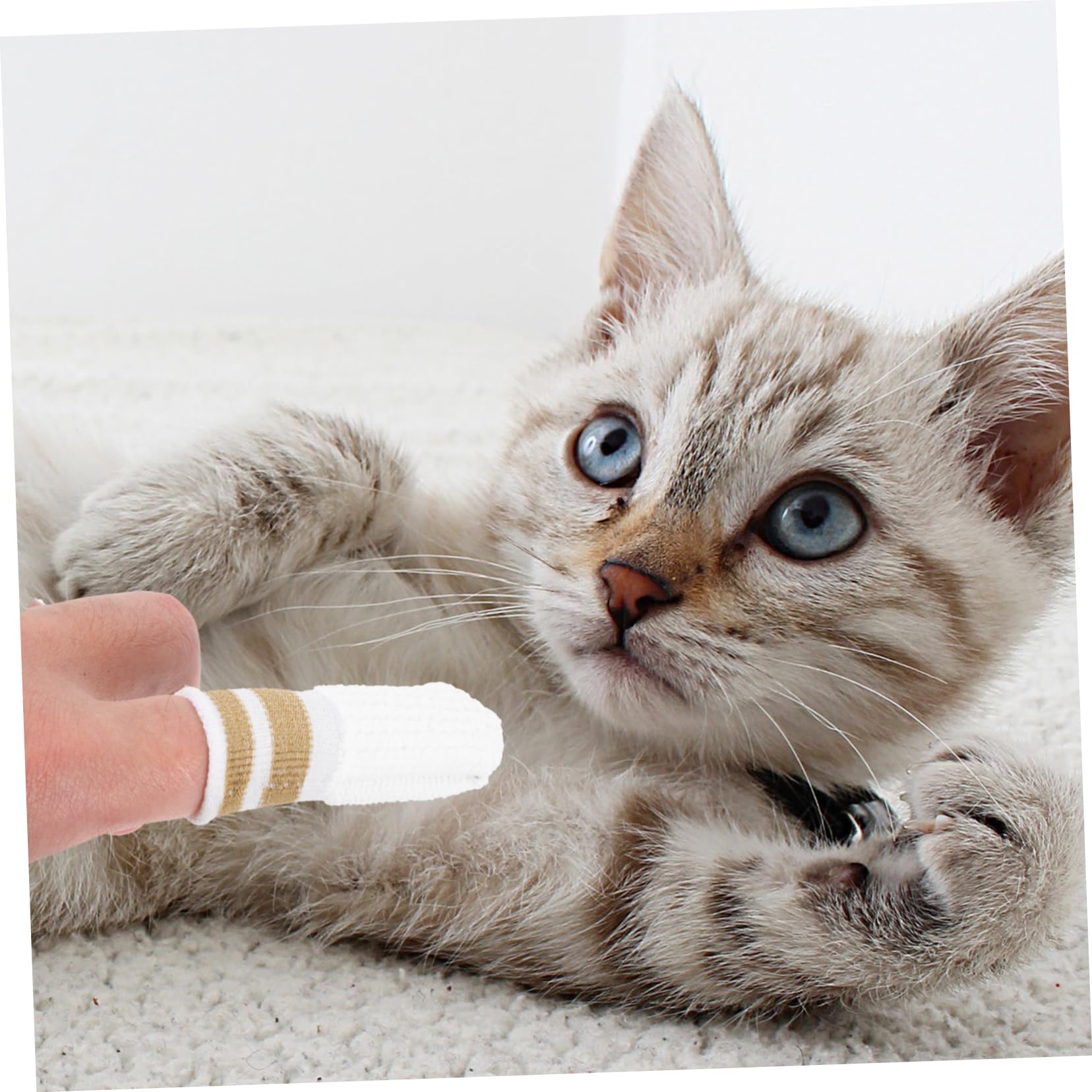 POPETPOP Lot De 5 Brosses À Dents Pour Chats Et Chiens Soins Buccaux Pour Chatons Et Petits Chiens 6 Pièces X 5
