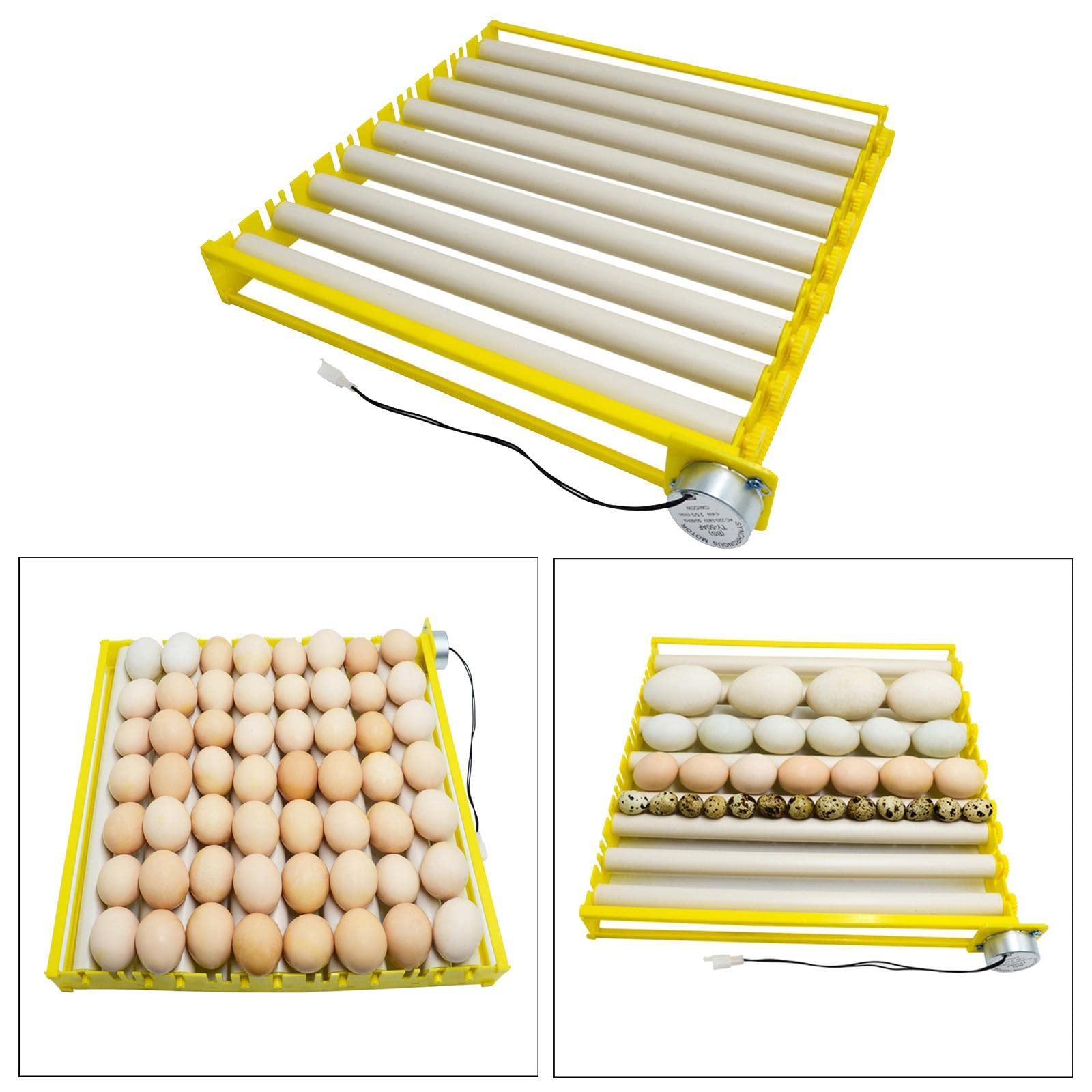 Fenteer Ei Inkubator Tablett Automatische Ei Turner für Huhn Ente Taube, 220V, 9 rohre