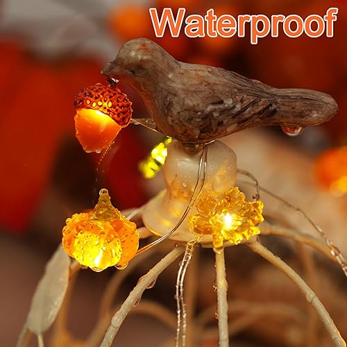 Miniatura 6 de BOHON Decoración de Acción de Gracias, bellota 3D, calabaza, hoja de arce, luces a pilas con control remoto de 10 pies, 30 luces LED de otoño