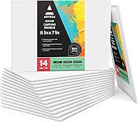 Vista 27 de ARTEZA Paneles de lienzo para pintar, 28 piezas, 5 x 7, 8 x 10, 9 x 12, 11 x 14 pulgadas, algodón, imprimados en yeso, suministros de arte