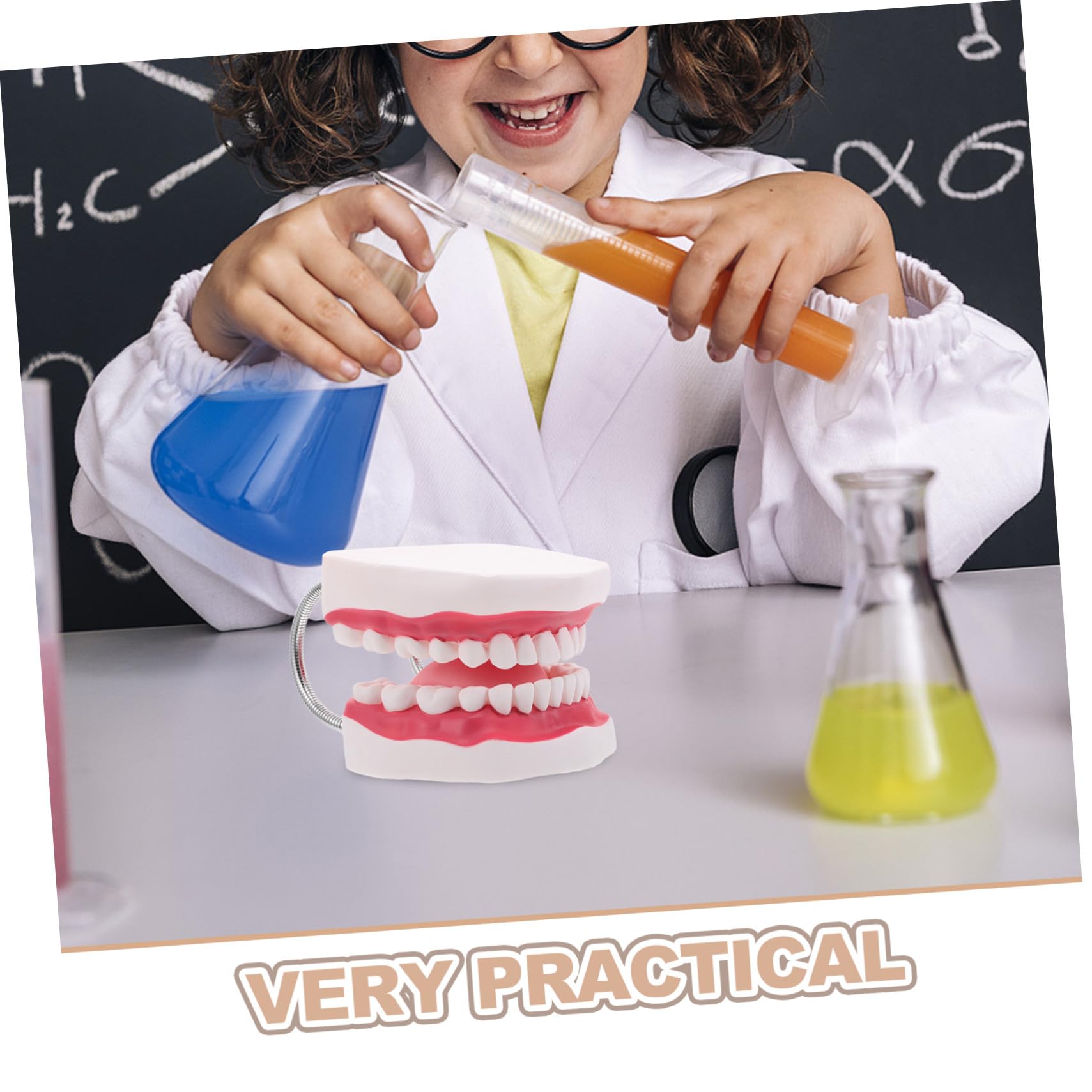 Modello Denti Adulti 56x Ingrandito in Pvc per Pratica Orale | Struttura Integrata Mascella Superiore e Inferiore, con Lingua, Adatto a Formazione Clinica e Dimostrazione