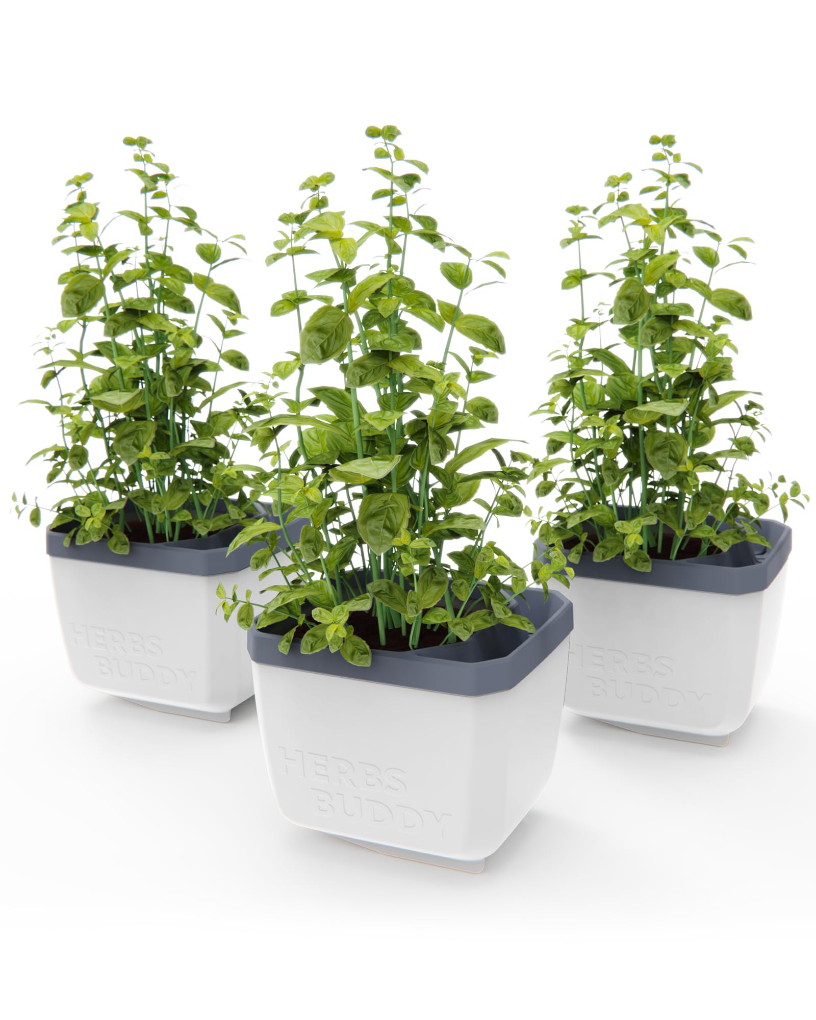 Gusta Garden White Herbs Buddy Herb Pot With Water Reservoir - 3 Pcs