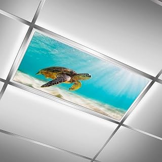 2 Pack Fluorescent Light Cover for Classroom, Turtal Drop Magnetic Ceiling Light Covers Light Filters,Eliminate Harsh Glare Causing Eyestrain and Headaches, 4 x 2 Feet…
