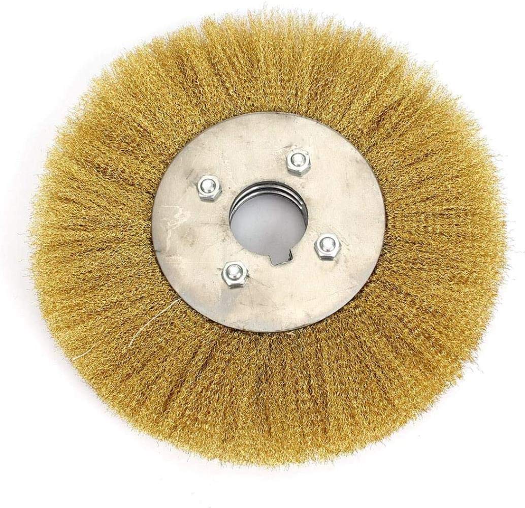 BrassCoated Wire Wheel Brush 16mm Arbor For Bench Grinder Pack of 1
