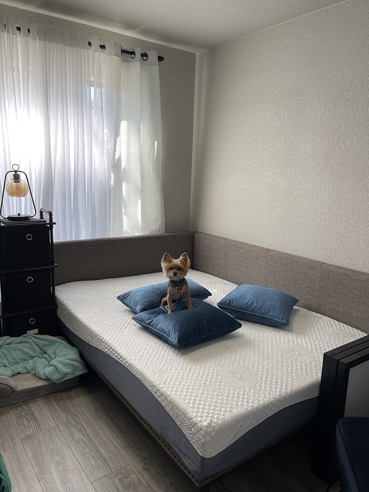 14/mo Finance DHP Dale Upholstered Daybed/Sofa Bed Frame, Twin Size