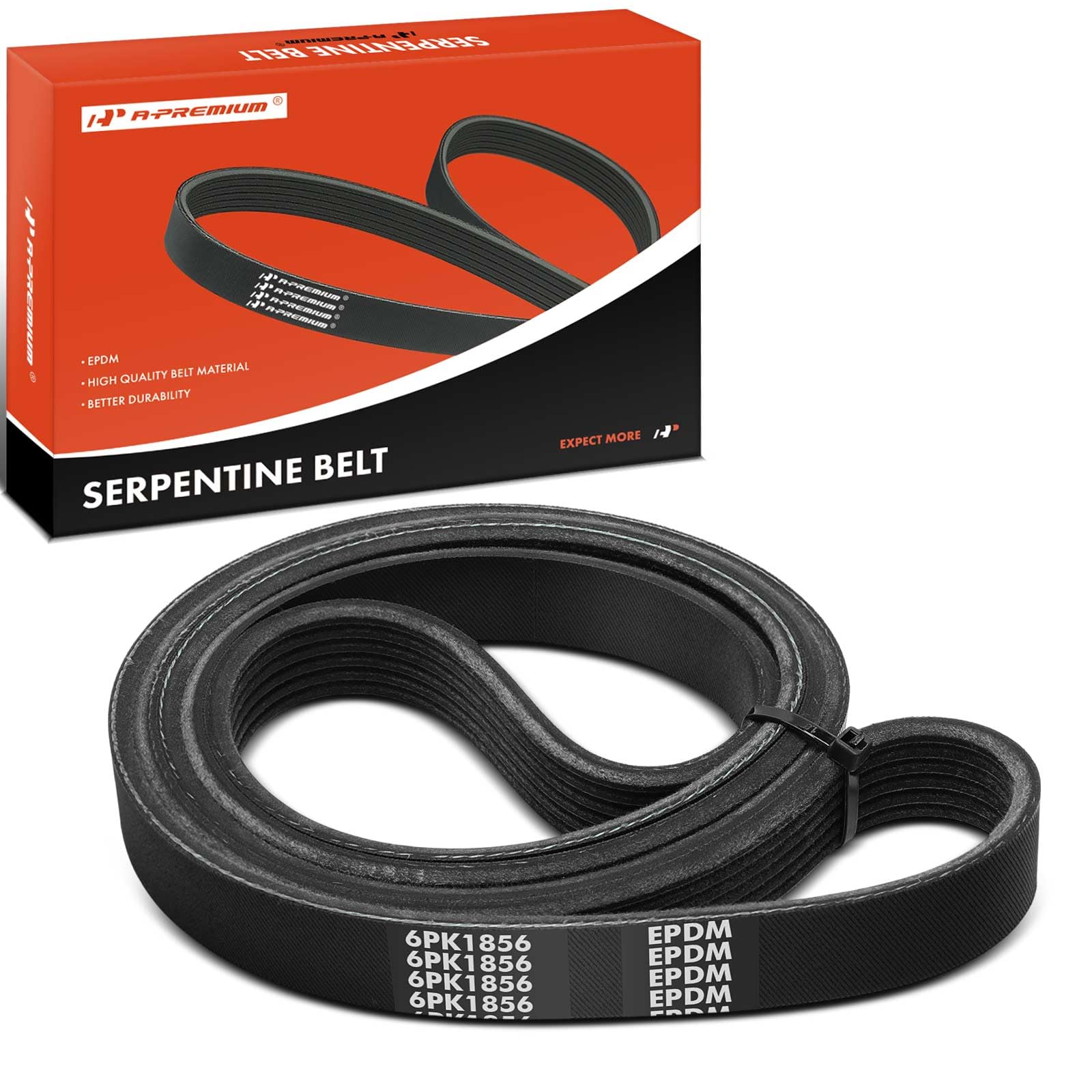 Correa de repuesto para Audi A6 S4 y Allroad 2.7L 8