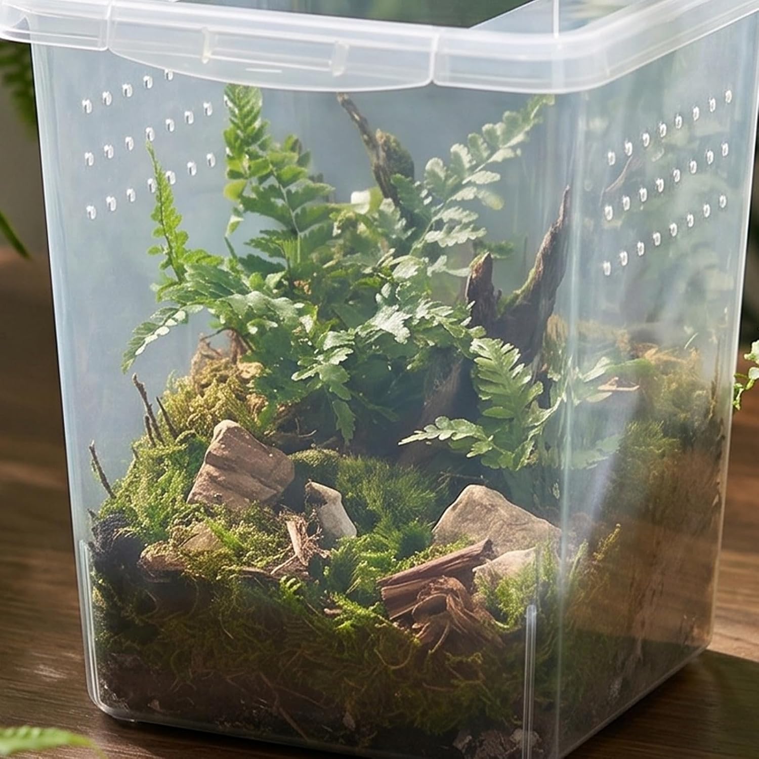 Kisangel 4pcs Small Reptile Feeding Box for Snail and Crickets Plastic Insect Enclosure with Multihole Ventilation Design and Smooth Surface Space Saving Cricket Keeper Cage for Colony
