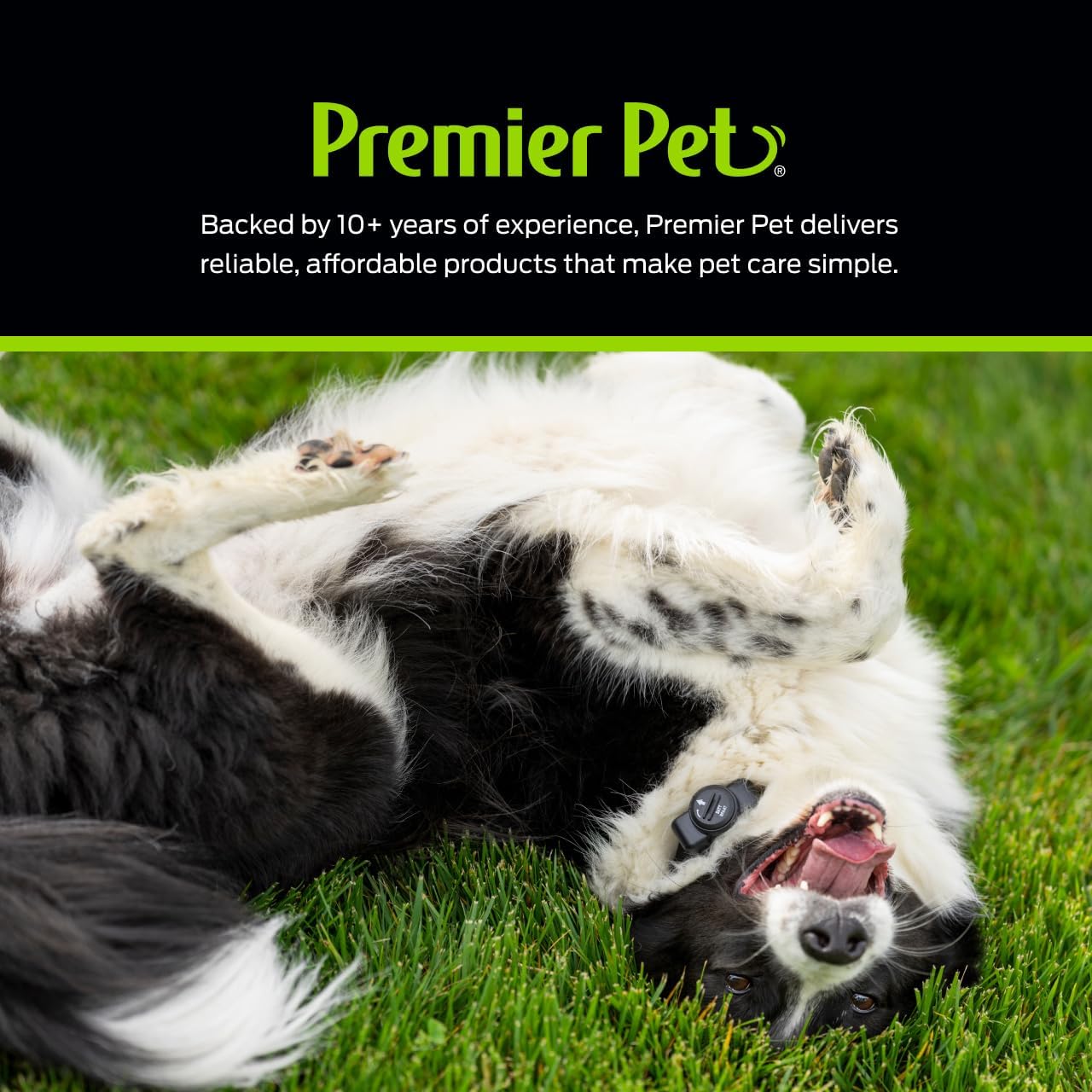 Premier Pet In-Ground Add-A-Dog Collar - Expansion Collar for In-Ground Fence Systems - Waterproof Receiver with Static Correction Levels - Comfortable Nylon Strap - Dog Yard Safety