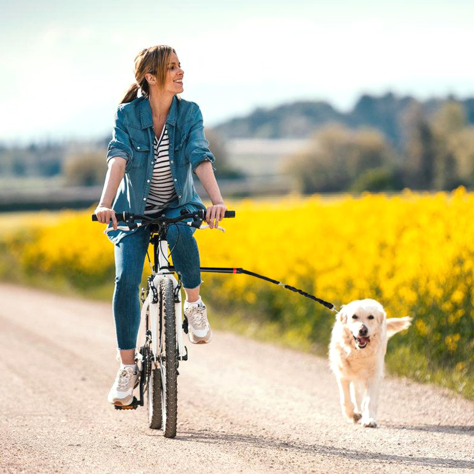 Laisse De Vélo pour Chien, Laisse De Vélo Mains Libres pour Chiens, Laisse Rétractable Gros Chiens, Vélo pour Chien Mains Libres Rétractable, pour L'entraînement, Le Jogging