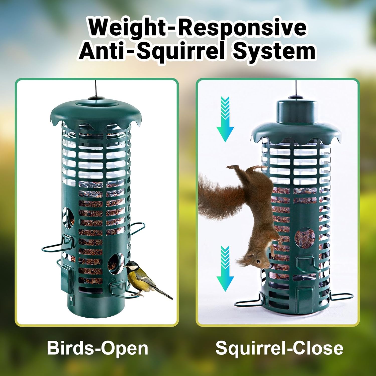 Beserie Squirrel Proof Bird Feeders Metal for Outdoors Hanging Weight Activated Wild Bird Seed Feeder for Finch Cardinal Chickadee, Weatherproof & Chew-Proof, 2LB Large Capacity, Green