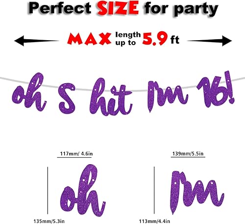 Miniatura 3 de Oh S*it I'm 16! - Pancarta de fondo con purpurina púrpura Hello 16 Cheers to 16 años de edad, decoración temática para niños y niñas, suministros de