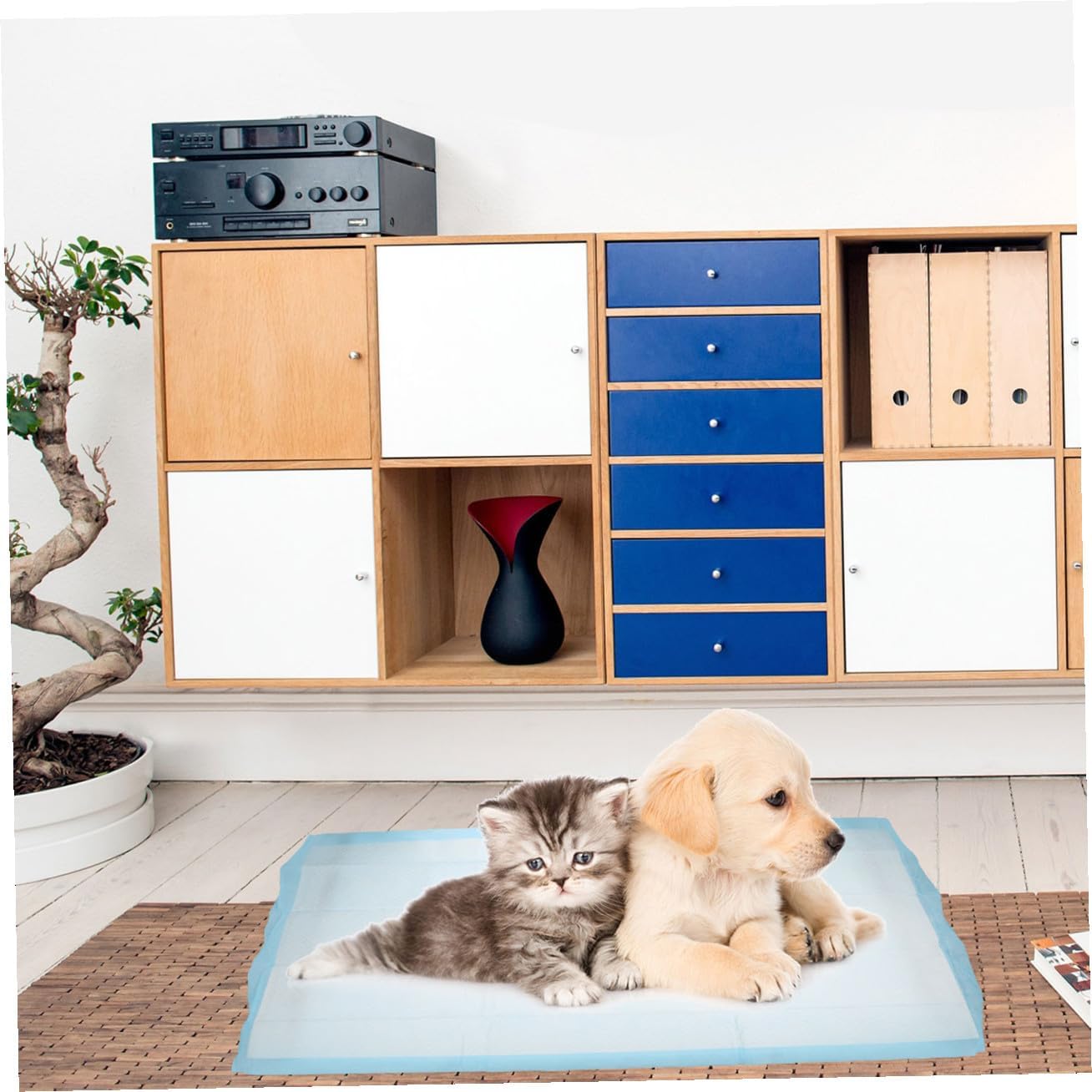 20Pcs Disposable Pet Urine Absorbent Pads Leak Dog Pee Mats for Home Outdoor Use for Training Puppies and Pets Comfortable and Quick Drying