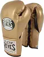 CLETO REYES ゴールド ボクシンググローブ MSM Fight Shop | Cleto Reyes Limited Edition Training Velcro