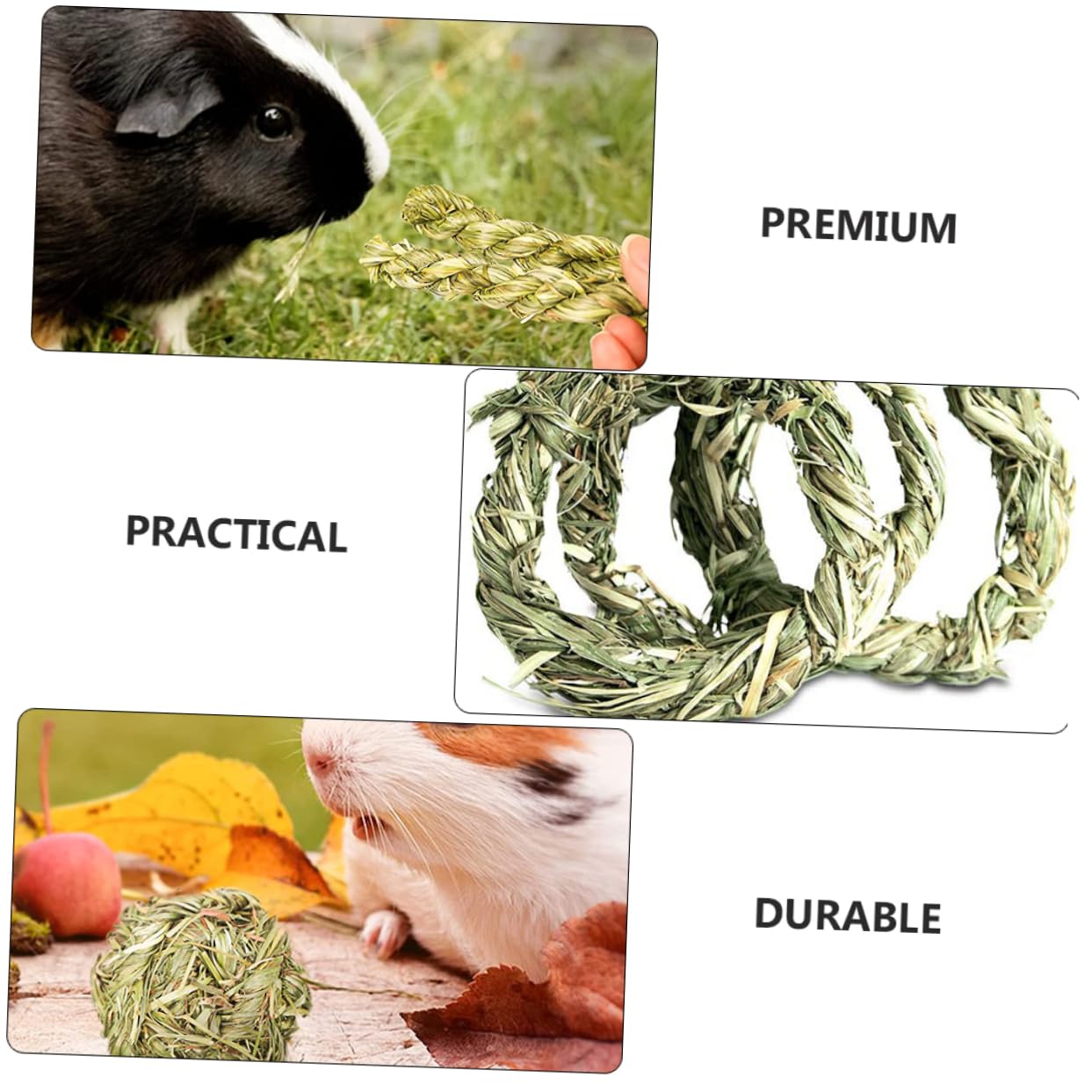 POPETPOP 18pièces Jouets à Mâcher pour Rongeurs Accessoires Herbe pour Chinchillas Et Cobayes pour Broyage Dents Divertissement Petits Animaux