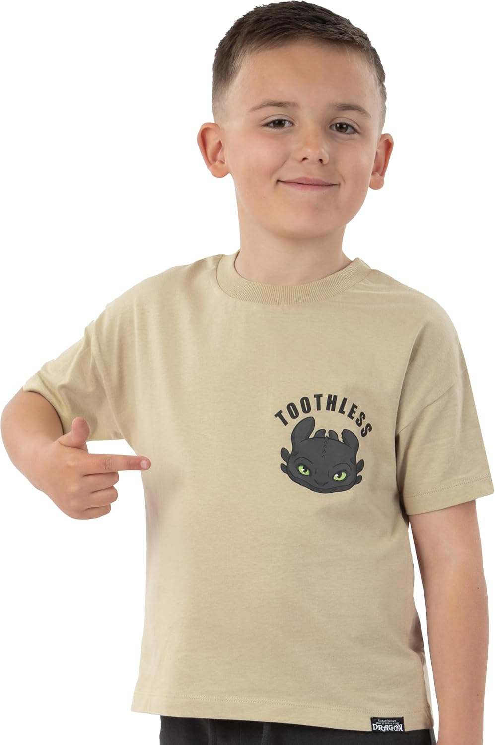 How To Train Your Dragon Shirt And Shorts, Toothless Boys Tshirt And Boys Shorts, Dragon Cotton T Shirt Outfit Set
