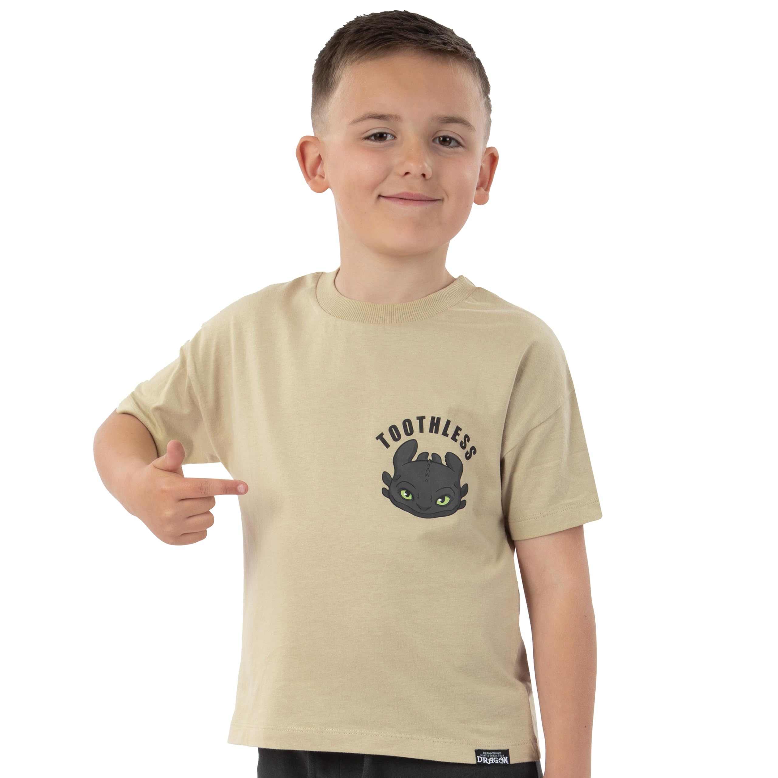 How To Train Your Dragon Conjunto De Camiseta Y Pantalón Corto Para Niño, Camiseta Y Short Desdentao Para Niño, Divertido Conjunto De Algodón