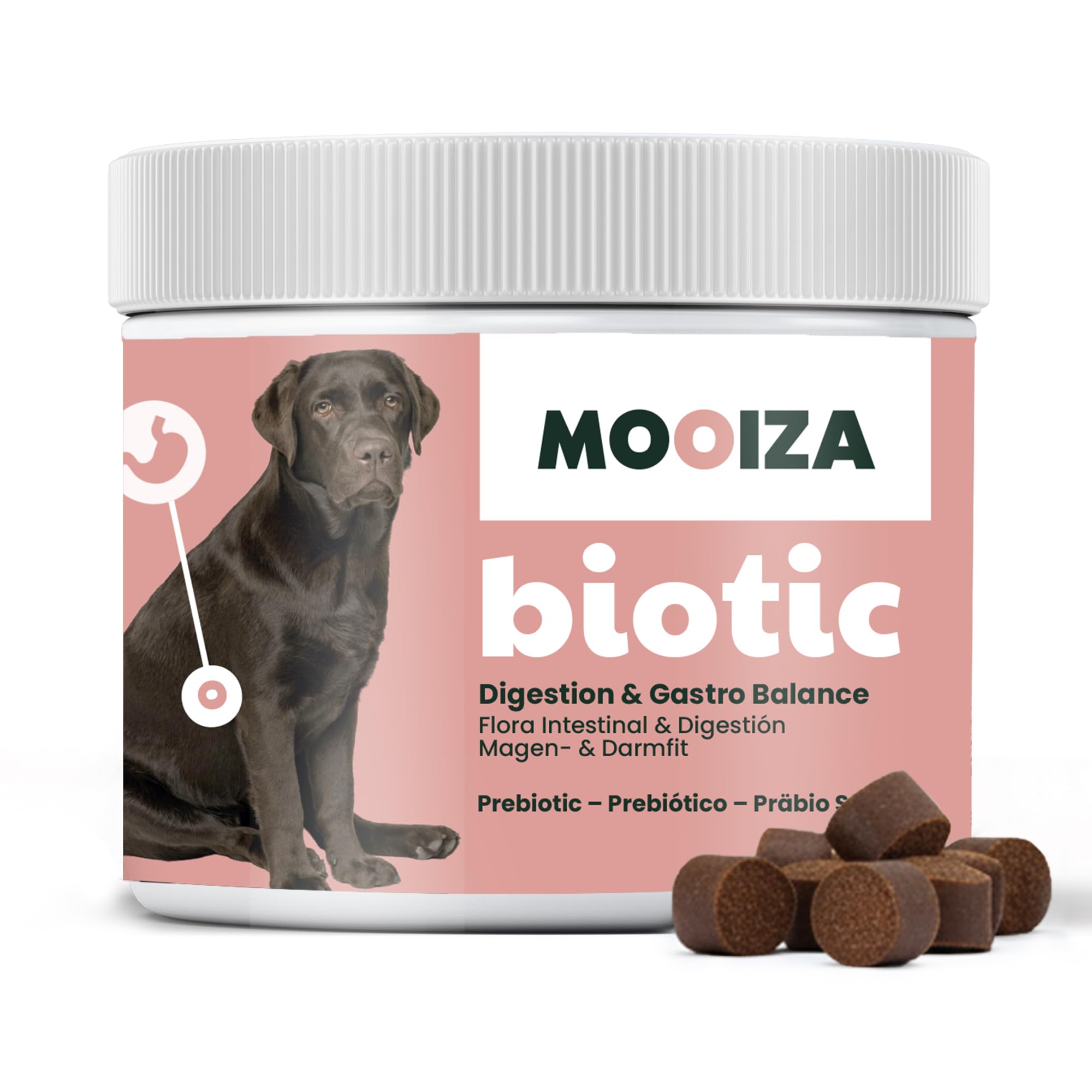 Prébiotiques naturels pour chiens et chats avec spiruline + psyllium et charbon végétal activé – Soutien flore intestinale – Supplément nutritionnel pour immunité digestive en format biscuits 300 g |