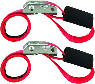 SNAP-LOC 1 in x 2 ft Cinch Strap Cam Tie-Down 1,500 lb 2-Pack for Pickups, Trucks, Trailers, Logistics