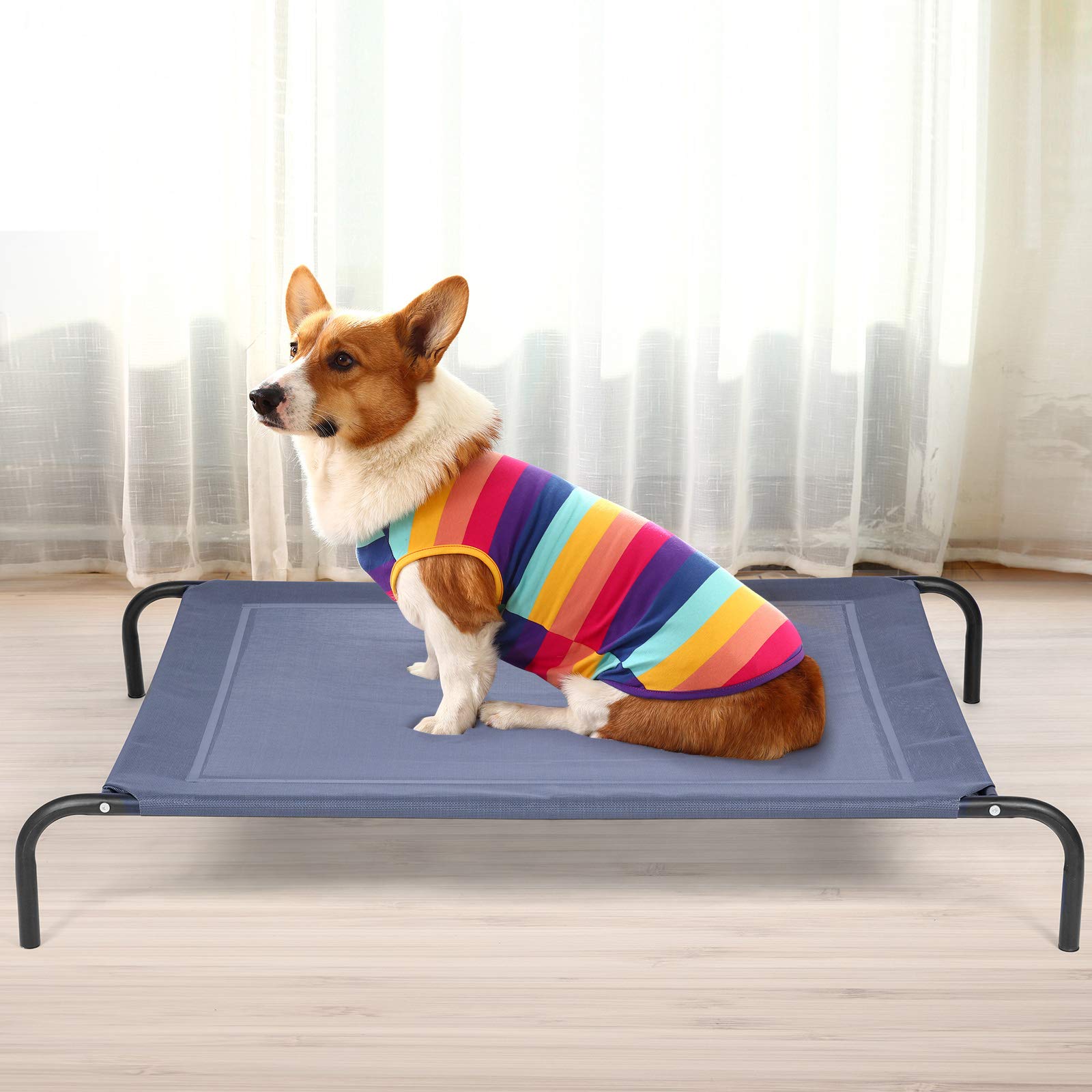 GOPLUS Lit Chien Sureleve et Rafraîchissant pour Animaux de Compagnie, Gris | Lit de Camp pour Chien en Textile Respirant Stable, Cadre Métallique, 110x80x18 CM, Charge 40KG, pour Intérieur & Extérieur