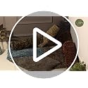 Image of Moscow Bath Mat for Bathroom and Kitchen, Anti Slip, Soft and Cozy 1400 GSM Microfibre, Water Absorbent, and Machine Washable (40x60 cm) (Ocean)