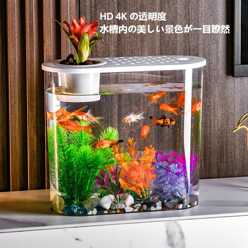 Amazon | 水耕風景 小型水槽 水槽 水族館 繁殖水族館 プラスチック