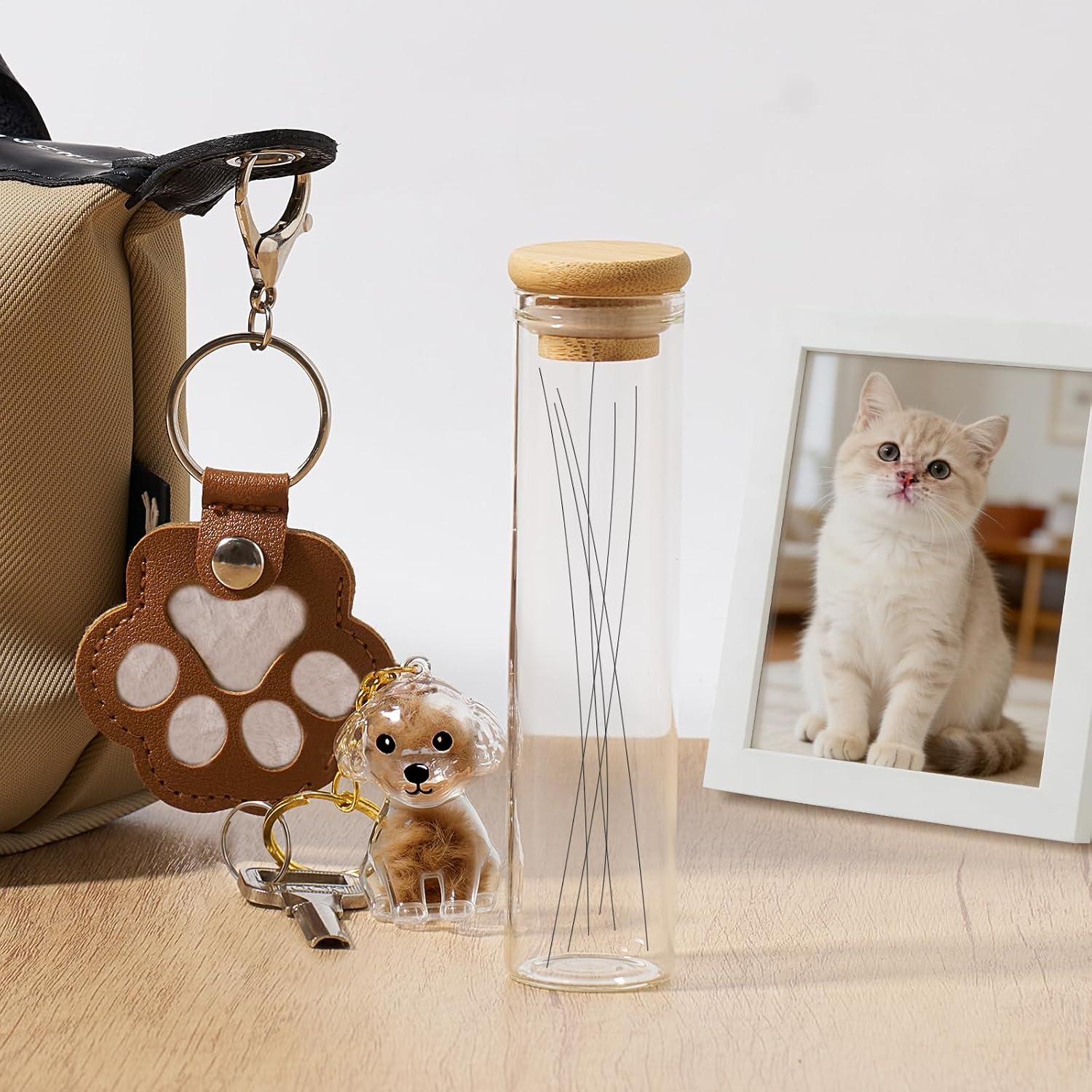 Cat Whisker Jar, Cat Whisker Collector, Transparent Glass Cat Whisker Vase, Pet Keepsake Box, Loss of Cat Sympathy Gift