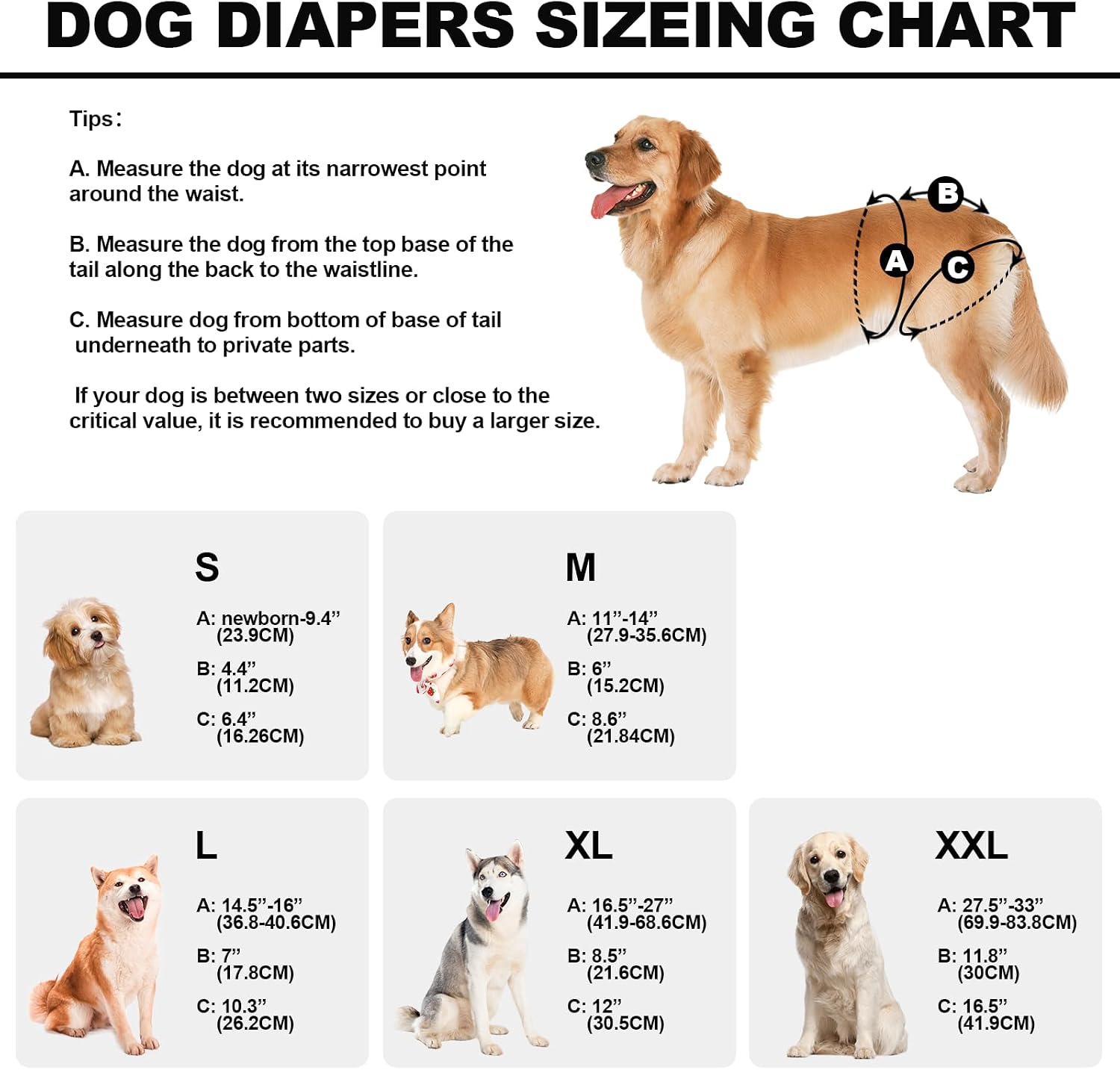 Reusable Dog Diapers Female Washable, Premium Doggie Diaper for Dogs, Pack of 3, Highly Absorbent Small Dog Diaper for Heat, Incontinence and Puppy Training(S)