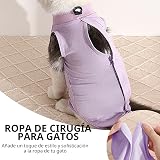 Ver la foto 5