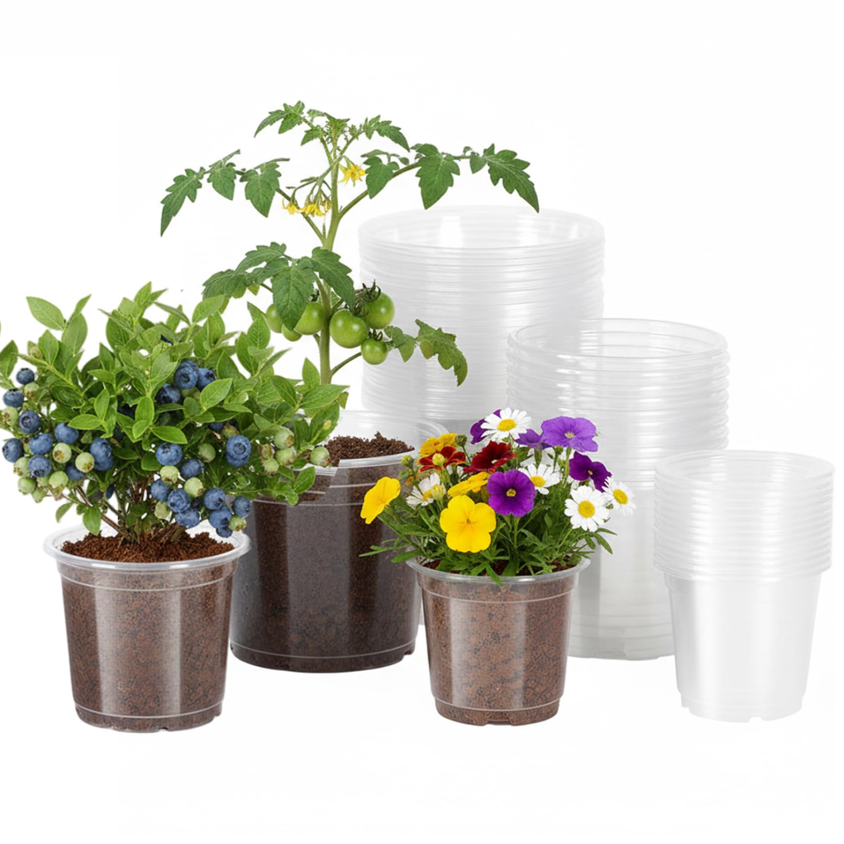 Pots de plantes transparents Gcroet avec drainage | Lot de 30 pots de pépinière réutilisables