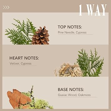 My Way Diffuser Oil, 100ML Hotel Diffuser Oil, Hotel Essential Oil,Aromatherapy Fragrance, Inspired by The 1 Miami Beach Scent | 3.38 fl oz