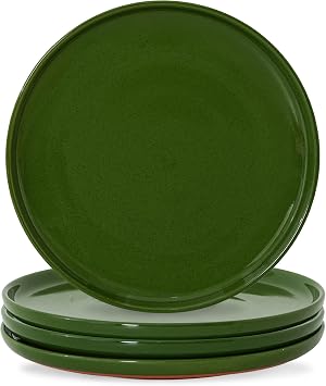 10.25-Inch Dinner Plates Set of 4, Dual Glaze Stoneware Plates, Microwave and Dishwasher Safe, Ceramic Plates for Everyday Dining, Forest Glaze Green