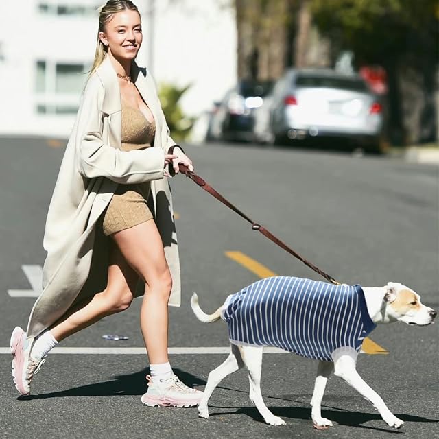 Foto 6 de 6 de MEMOFYND Traje de Recuperación para Perros Azul con Rayas, para Heridas y Pijama para Perro