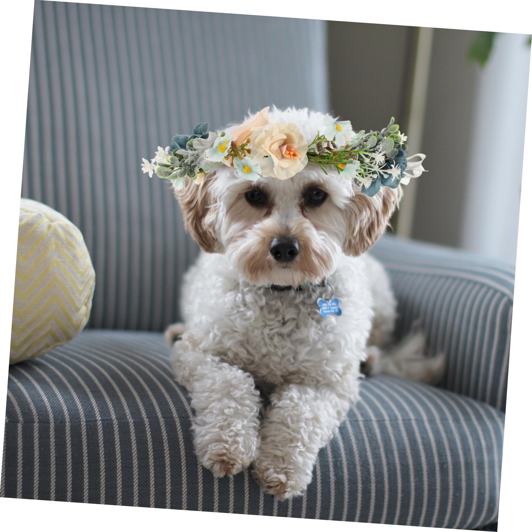 Toyvian Collare Floreale per Cani per Matrimonio Ghirlanda Floreale per Cani Accessorio per Foto per Animali Domestici per Feste Natale Compleanni e Uso Quotidiano Leggero e Comodo