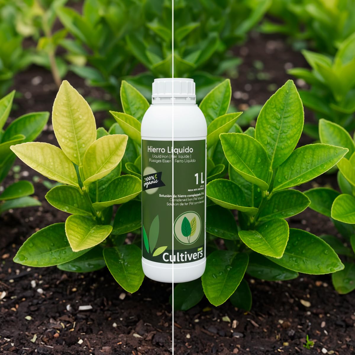 CULTIVERS Hierro Líquido para Plantas 5 L | Abono Líquido con Hierro para Nutrición Vegetal en Plantas, Hortalizas y Árboles en Suelos con Baja Disponibilidad de Hierro