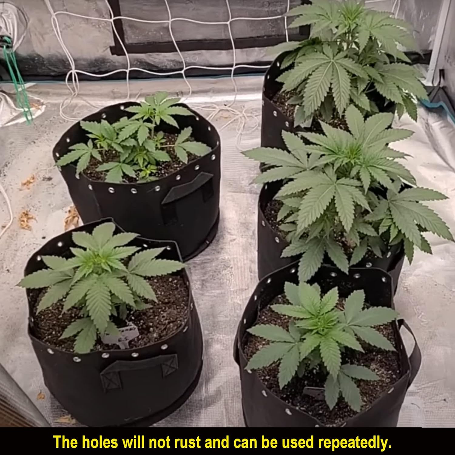 5 Gallon Fabric Pots with Holes 5 Packs with Handles Plant Grow Bags