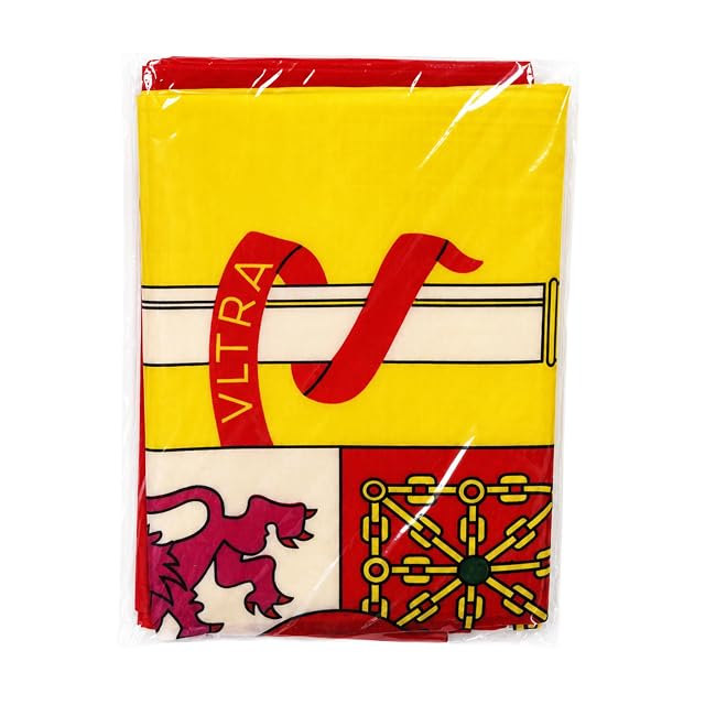 Foto 2 de 5 de Bandera de España Grande