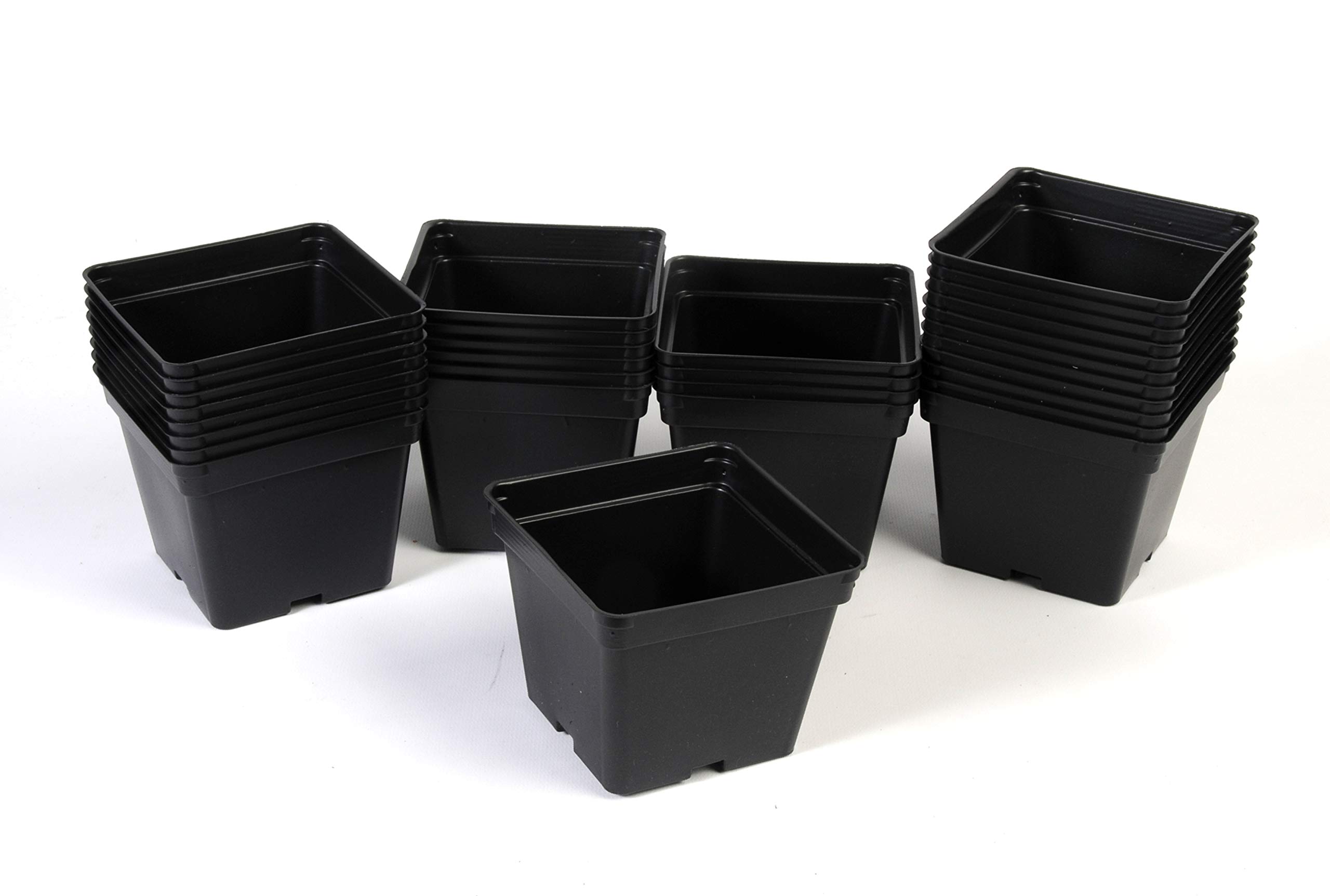 American Educational Environmental Ecology Seed Kit - Image 5