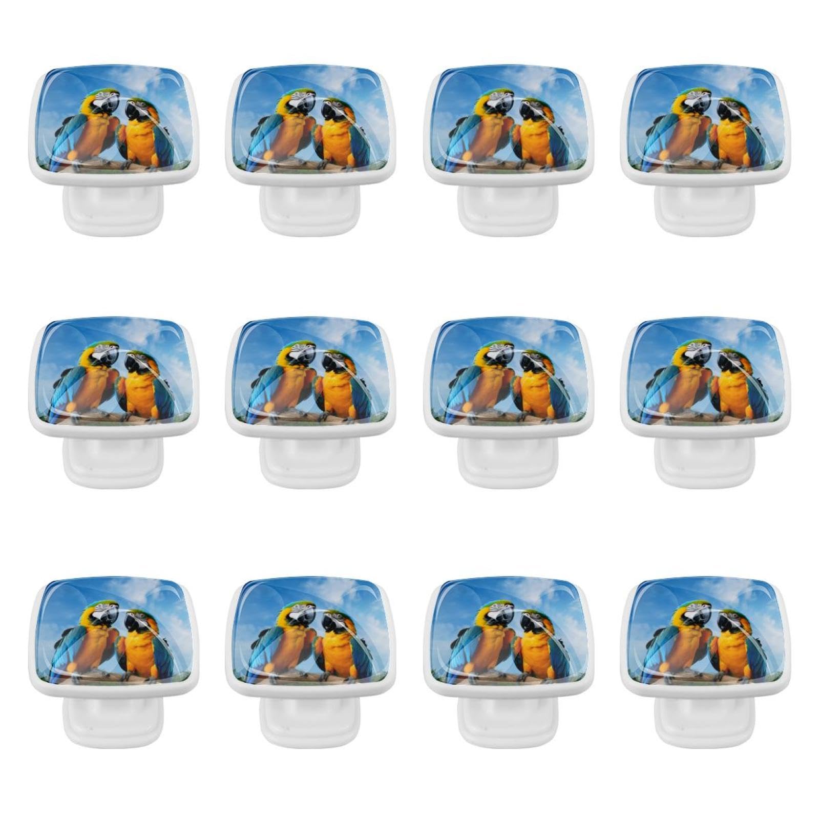 Pomos cuadrados para gabinete de cocina, pomos para cajones de tocador, 12 piezas, loros de pájaros de pradera azul, pomos de puerta de armario