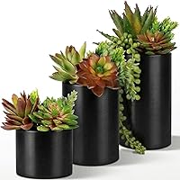 Realistic Fake Succulents in Premium Ceramic Pots (3-Pack Assorted) - Artificial Plants for Home Office Bathroom Decor