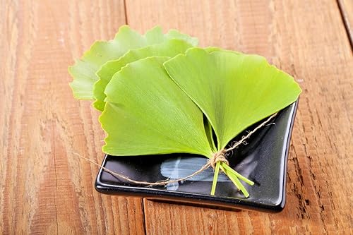 Miniatura 7 de Health Embassy Hoja de Ginkgo Biloba | Ginkgo Biloba L | 100% Natural (3.53 oz)