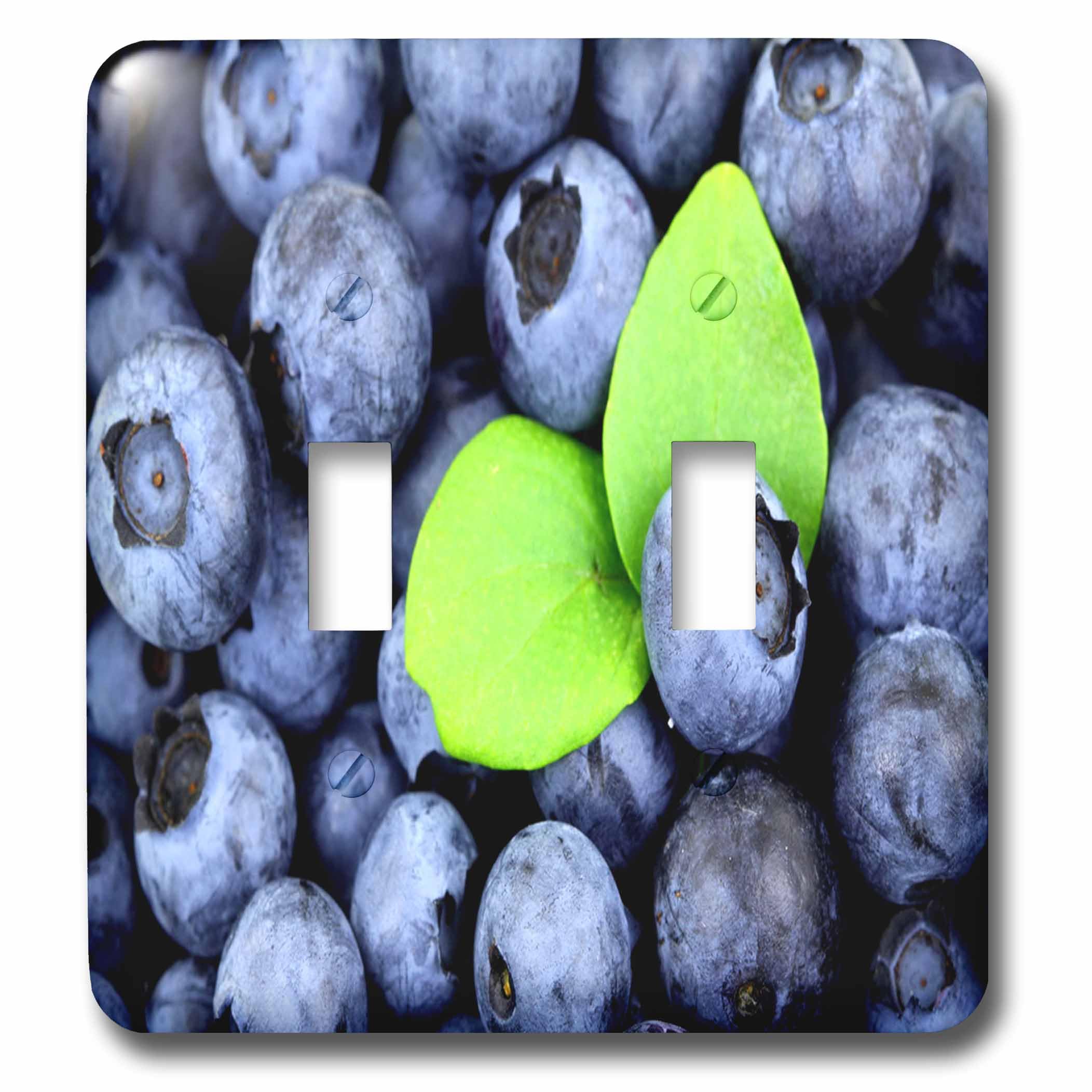 Blueberry Surprise interrupteur double bascule 3dRose lsp_15502_2 plaque murale décorative
