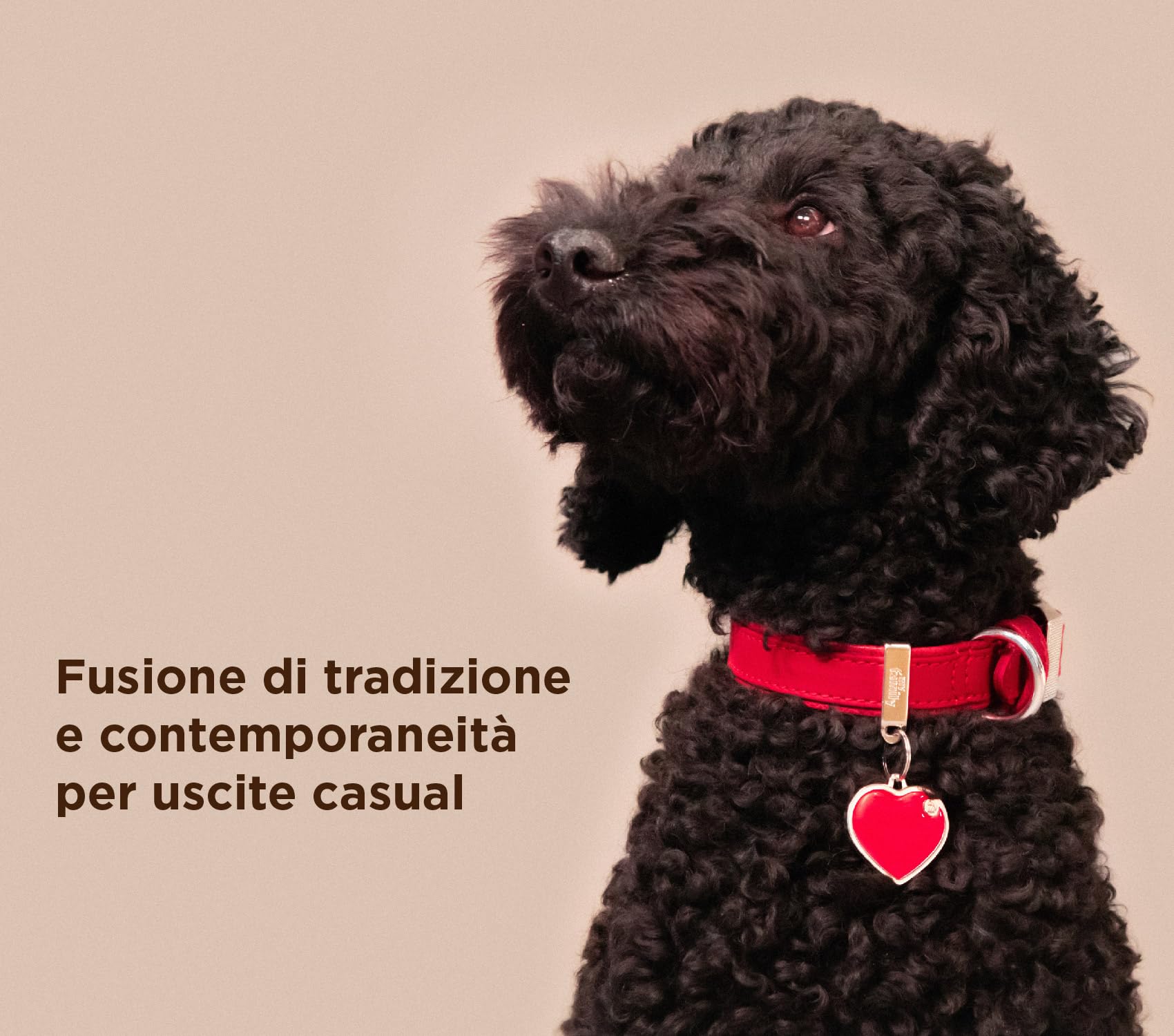 MyFamily Guinzaglio per Cane in Fibra Sintetica e Corda Italiana Made in Italy, Finiture Metalliche in Bronzo Bianco, Pratico e Confortevole, Fatto a Mano, Collezione Bilbao