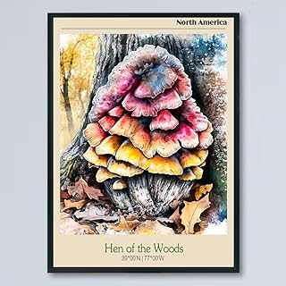 Vintage Hen of the Woods Mushroom Poster Fungus Wall Art Prints Rustic Mushroom Wall Hanging Illustrative Reference Chart Poster for Living Room Office Classroom Bedroom Decor Frame M0dzzV