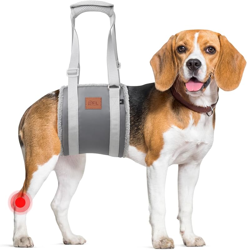 Peitoral de Elevação para Cães Médios PICK FOR LIFE com Forro Macio e Ajustável