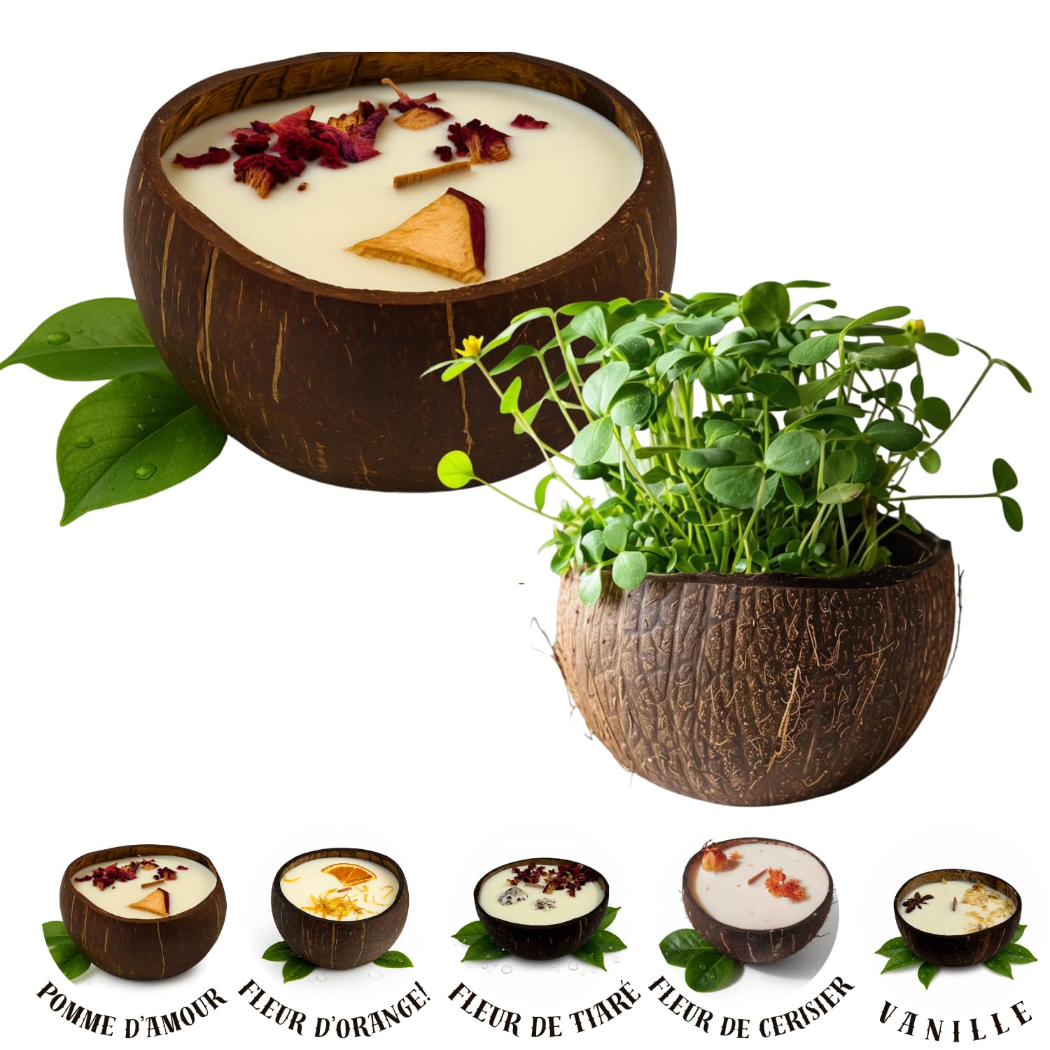 Bougie parfumée artisanale en noix de coco – Cire de soja 100% végétale, ~40 h – Végan, sans phtalates/CMR – À planter (graines + terreau inclus) – FLOREA – Arôme: