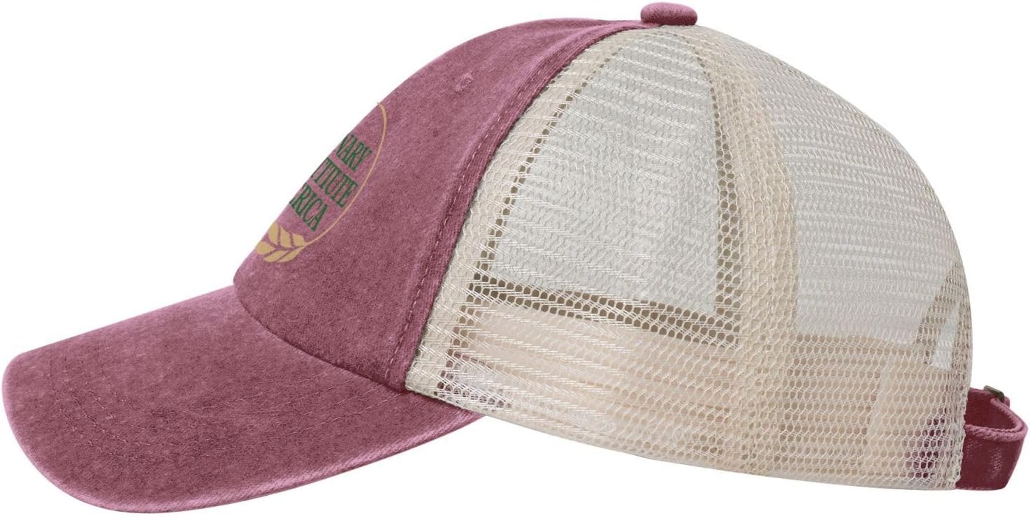 Culinary Institute of America Logo Cowboy Mesh Baseball Cap Women's Man Outdoor Baseball Hat image 3